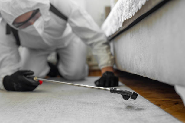 Professional Emergency Pest Control technician working in New Kensington, PA