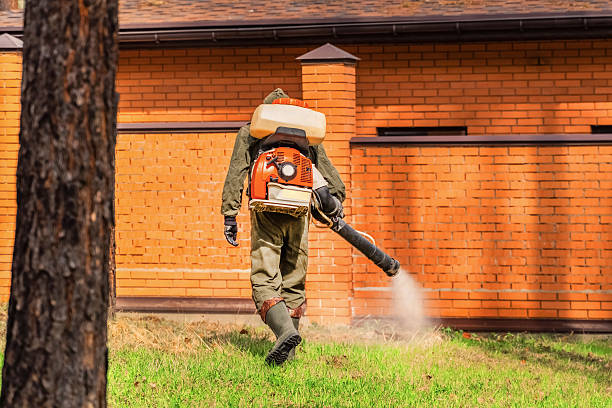 Trusted Rodent Control service in New Kensington, PA - Nex Pest Control